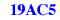 19ac5